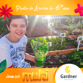 Plantio de Árvores do 6º Ano