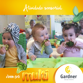 Atividade sensorial